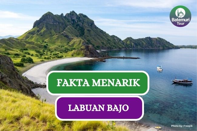 7 Fakta Menarik Labuan Bajo yang Jarang Orang Tau